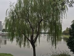 -美兰湖景区