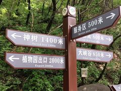 -茅兰沟国家森林公园