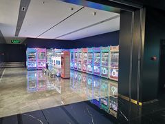 -奥斯卡升龙国际影城(RealD Cinema)