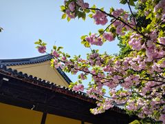 -龙华寺