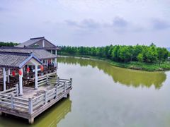 -漩门湾国家湿地公园