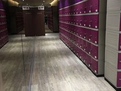 -一兆韦德健身