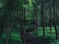 -桤木河湿地公园