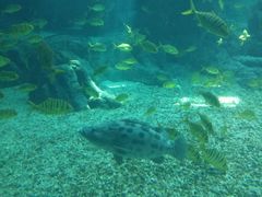 -福州罗源湾海洋世界旅游区