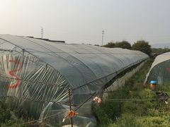 -聚缘草莓瓜果采摘基地(堵家村2店)