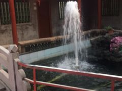 -寻味肇庆·八姑农庄·广府西江菜