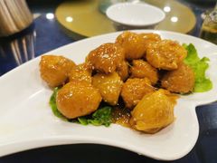 -金龙寨(龙城路店)