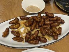 -海派美食·家宴海鲜青岛菜·石锅鲽鱼头(东方城店)