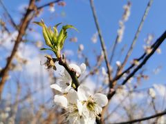 -广州市流溪河国家森林公园