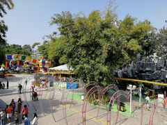 -金砂公园