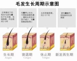 -木北造型
