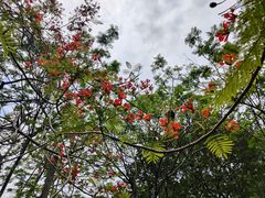 -中国移动南方基地