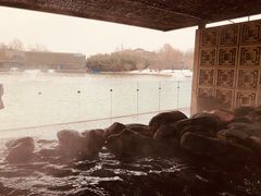 -春晖园度假酒店温泉