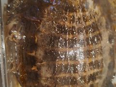-铭副琦食·虾蟹烩馆(渔人码头店)