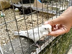 -东莞楼农家菜(金海湾大道分店)