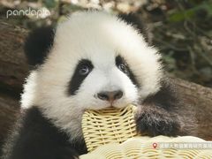 -精悦蓉(松江万达广场店)
