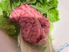 -小龙坎火锅(全球旗舰店)