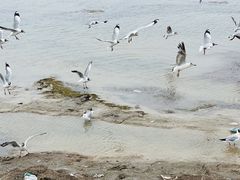 -西台吉乃尔湖