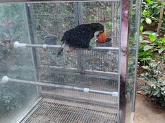 -南宫五洲植物乐园