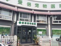 爱侣宠物医院(灵石路总院)-爱侣宠医·鹦鹉专科·小型哺乳类·异宠专科(灵石路店)