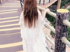 -广东惠东海龟国家级自然保护区