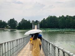 -东湖落雁景区
