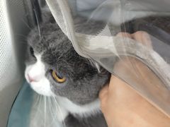-联合动物医院(光谷诊疗中心)