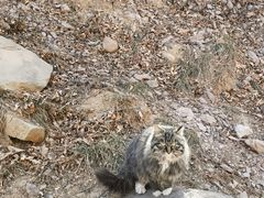 -北京西山国家森林公园