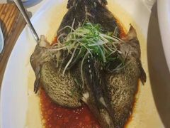 -人杰鱼乐轩(珠江路店)