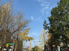 -仙海旅游度假区