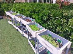 -柠檬国际幼儿园 Bright Academy