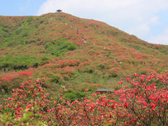 -大围山国家森林公园