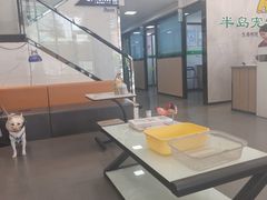 -半岛宠物医院24小时(科华中路店)