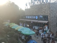 -紫金山山顶公园