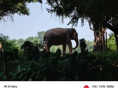 -深圳野生动物园