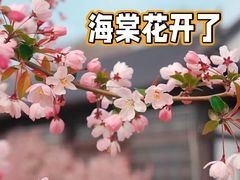 -莫愁湖公园
