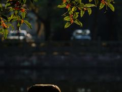 -阿育王寺