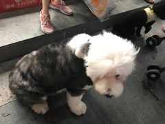 -善水温泉·汗蒸·SPA·生活会馆(桑田路店)