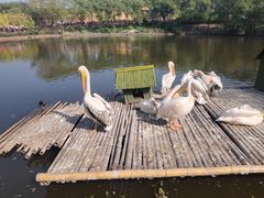 -沈阳森林动物园