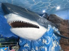 -多彩贵州城极地海洋世界