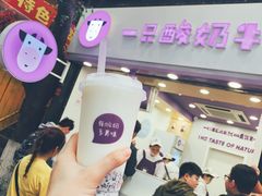-一只酸奶牛(八一路店)