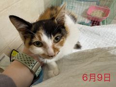 -瑞鹏宠物医院·内科·中兽医·骨科(苗圃店)