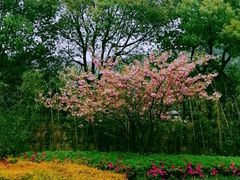 -九龙潭景区
