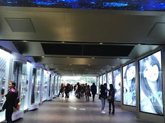 -乐天免税店(明洞店)