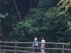 -少华山国家森林公园
