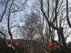 -杭州黄龙洞