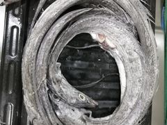 -芦潮港集贸市场