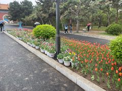 -北陵公园