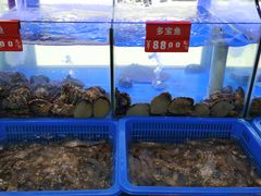 -小龍鳳·港式海鲜打边炉(沙湖路店)