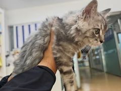 -宠颐生中康贝怡动物医院